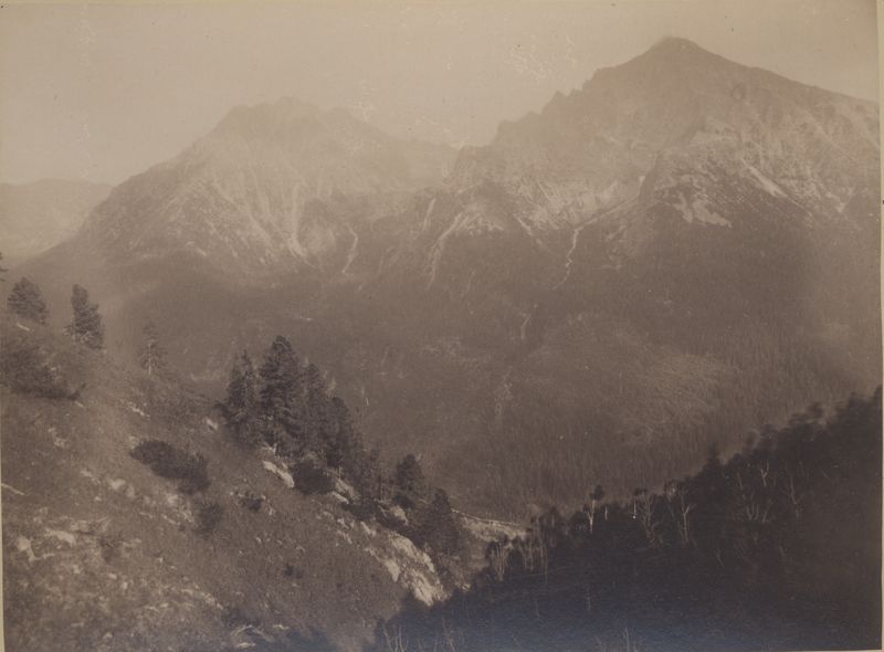 1753-10.jpg